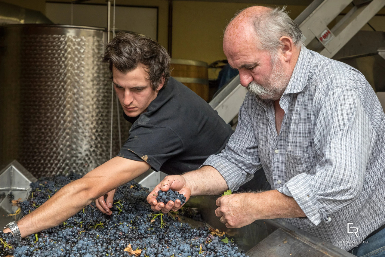 Domaine Amiot-Servelle