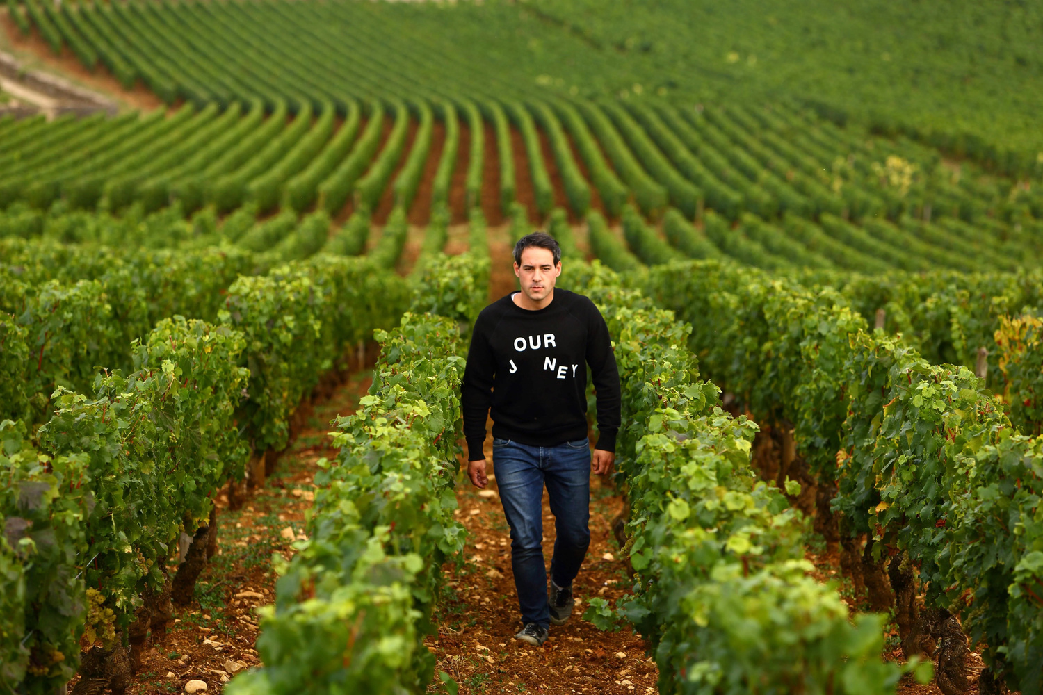 Domaine Chavy-Chouet