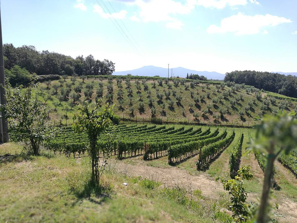 DWNL — Drink Wines Not Labels