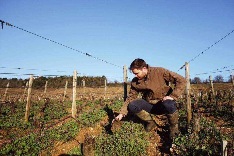 Domaine Pierre Girardin